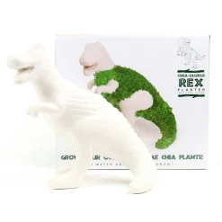 Gift Republic Chia-Saurus Discount