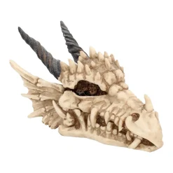 Nemesis Now Drachenschädel-Aufbewahrungsbox Outlet