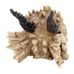 Nemesis Now Drachenschädel-Aufbewahrungsbox Outlet