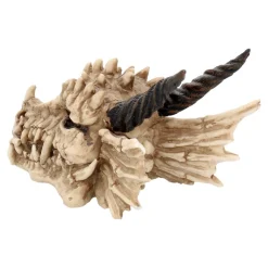 Nemesis Now Drachenschädel-Aufbewahrungsbox Outlet