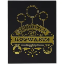 Fanattik Harry Potter Limited Edition Goldener Schnatz Pin
