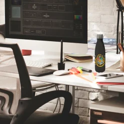 AbyStyle Harry Potter Wasserflasche "Zaubertrank" Best