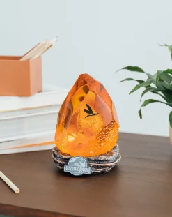 Jurassic Park Lampe: Bernstein mit Mosquito
