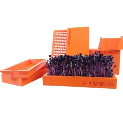 printsandprint Microgreens Starter Kit Hot