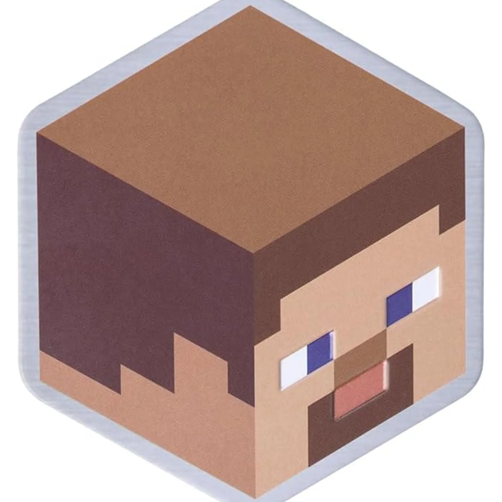 Paladon Minecraft Metall Untersetzer Outlet