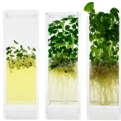 Plantarium Garden Lab Online