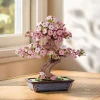 RobotIme Sakura Bonsai Holzbausatz Online